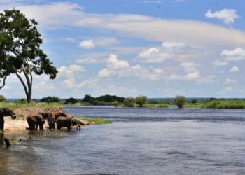 The first ever Zambezi River and Expo is set to take place on the 25th to 28th March 2024 in the Livingstone.