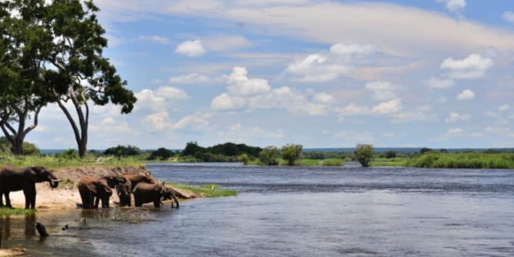 The first ever Zambezi River and Expo is set to take place on the 25th to 28th March 2024 in the Livingstone.