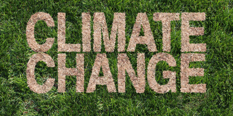 Climate Change Often Disrupt Economic Stability