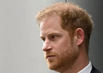 “Royal Reunion: Prince Harry’s Visit to King Charles”