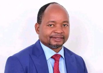 Government’s Positive Response to the United Kwacha Alliance