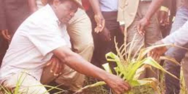 Hichilema’s Call for Support: Empowering Zambian Farmers in Drought