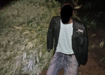 DEC has arrested a 46-year-old man of Linda Compound in Lusaka 