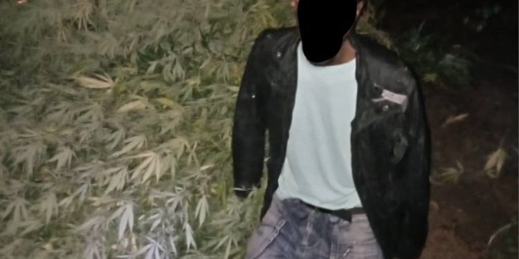 DEC has arrested a 46-year-old man of Linda Compound in Lusaka