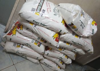 Mealie meal which may contain GMOS Seized and destroyed in Kazungula