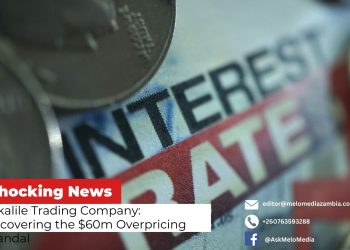 Mikalile Trading Company: Uncovering the $60m Overpricing Scandal