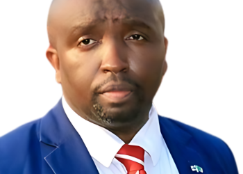 Dr. Kelvin Kamayoyo has penned an open letter to the recently elected Executive Committee of the Economics Association of Zambia.