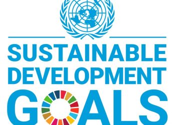 Zambia’s Path to Achieving SDGs: UNDP Report