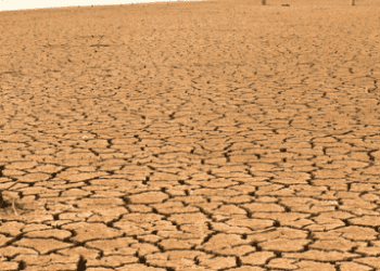 El Niño and Climate Change Threaten Health of Rivers in Africa