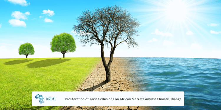 Proliferation of Tacit Collusions on African Markets Amidst Climate Change