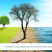 Proliferation of Tacit Collusions on African Markets Amidst Climate Change