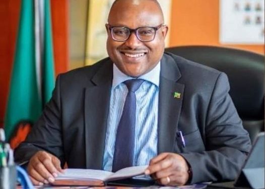 Unlocking Opportunities: Haimbe Extends Invitation to Korean Investors in Zambia