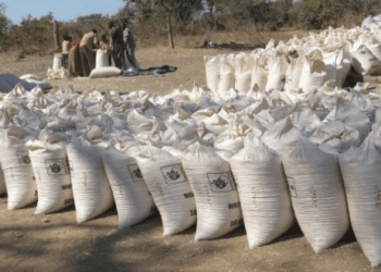 FRA’s Successful Procurement: Over 120,000 Metric Tonnes of Maize Bought for Relief Purposes