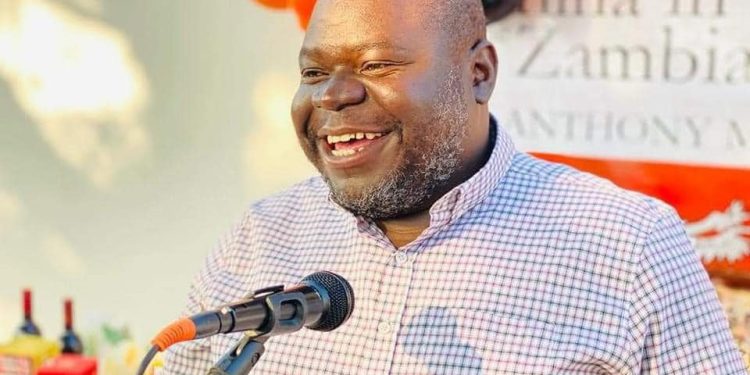 Haabazoka Recommends Increasing Dollar Use in the U.S., Not Zambia