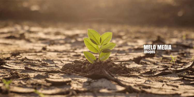 Innovative Approaches: Ensuring Climate Change Solutions Reach Everyday Zambians