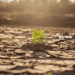 Innovative Approaches: Ensuring Climate Change Solutions Reach Everyday Zambians