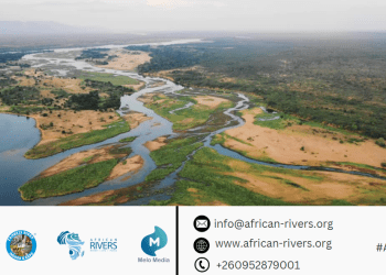 “AfCFTA tackle influence of culture and application of domestic policies on investment”