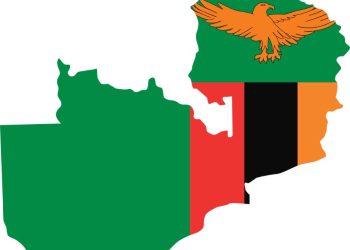 The Role of the Opposition: Offering Solutions, Not Just Opposition