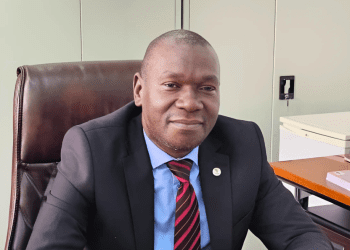 Information and Media PS Thabo Kawana Issues Stern Warning on Eligibility Case Commentary