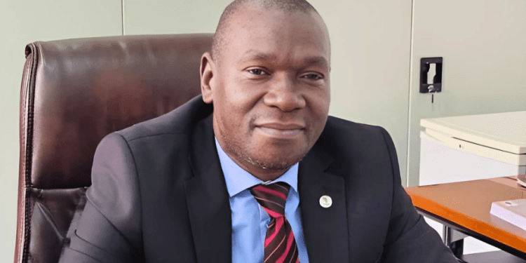 Information and Media PS Thabo Kawana Issues Stern Warning on Eligibility Case Commentary