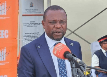 Government commends SME sector resilience in 2024 amidst drought challenges