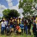 Lusaka Plant Trees for lnner City Greening