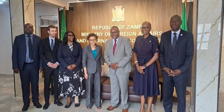 UN Special Envoy in Zambia to Assess Freedom of Expression