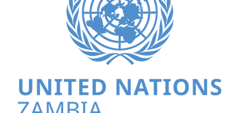 UN Refutes Claims of Sanctioning Zambia Over Human Rights Issues