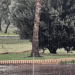 Harvest Rainwater for sustainability