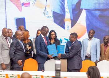 Zambia Powers Forward: ZESCO Signs 29 Solar Agreements to Boost Energy Security