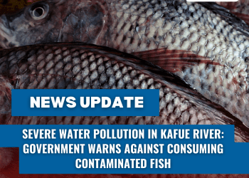 Severe Water Pollution in Kafue River: Government Warns Against Consuming Contaminated Fish