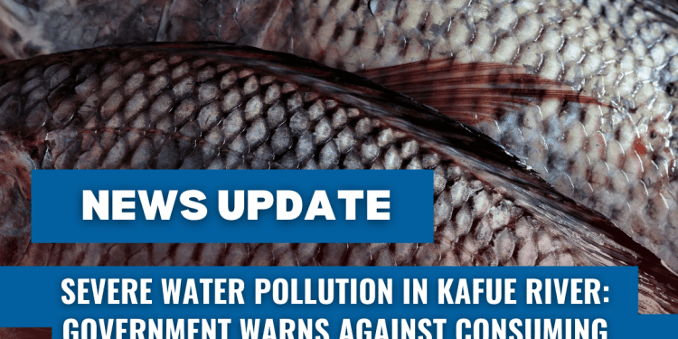 Severe Water Pollution in Kafue River: Government Warns Against Consuming Contaminated Fish