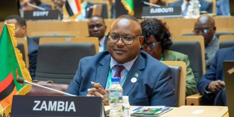 Zambia Responds to U.S. Foreign Aid Suspension: Government Seeks Solutions