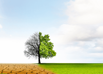 Stakeholders discuss climate compatible growth efforts