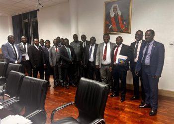 Vubwi Town Council Praised for Strong Performance in Parliamentary Review