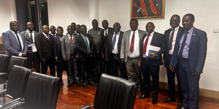 Vubwi Town Council Praised for Strong Performance in Parliamentary Review