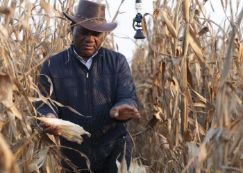 President Hichilema Celebrates Farmers on Farmer’s Day, Honors Their Resilience and Contribution
