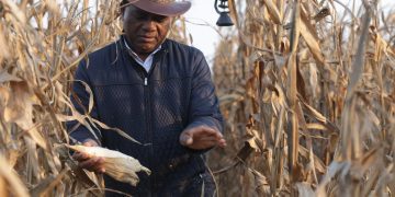President Hichilema Celebrates Farmers on Farmer’s Day, Honors Their Resilience and Contribution