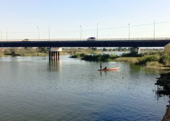 Field visit reveal Kafue River harbours aquatic weeds