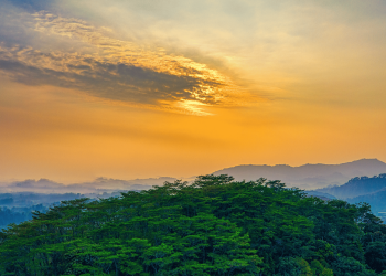 Stakeholders call for more attention to climate related diseases