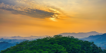 Stakeholders call for more attention to climate related diseases