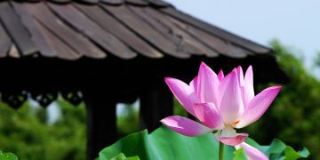 Government and Christian Leaders to Discuss Peace Cooperation at International Christian Peace Academy