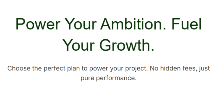 🌐 Build Your Online Presence Today!